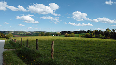 Gesunde Nahrungsmittel erzeugen